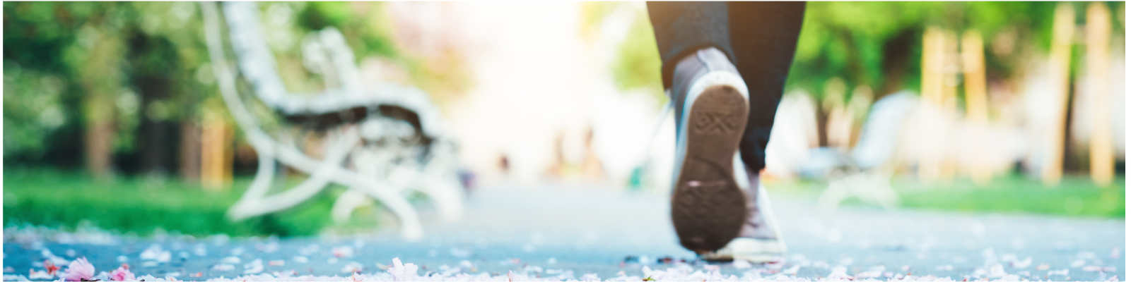 Read more about the article Welcome to Tallahassee Treks & Tales